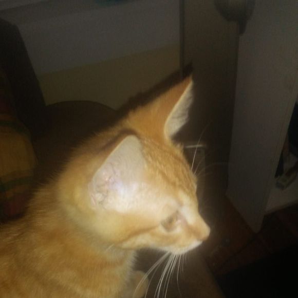 Meet your Posher, Michael - Picture 1 of 1